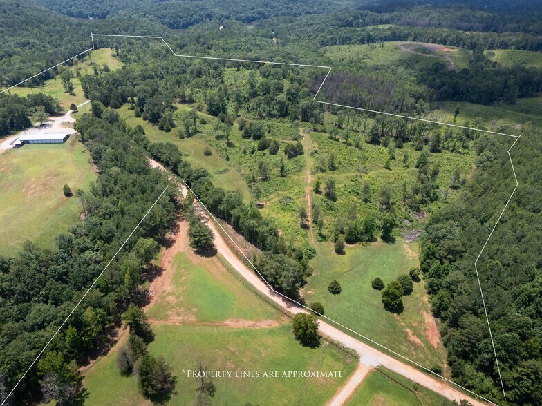 Primary Photo Of 1310 County Road 269, Wedowee Land For Sale