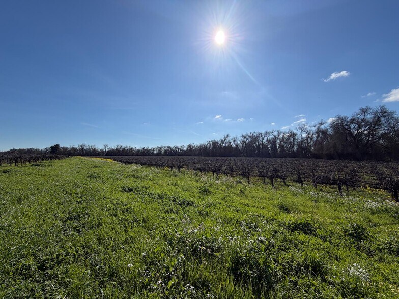 More Photos Of 9590 Kost rd, Galt Land For Sale