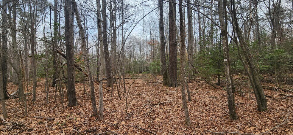 More Photos Of 16 2nd E Nanjemoy MD 20662 st, Nanjemoy Land For Sale