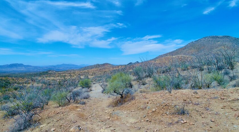 More Photos Of Alto Ranch, Rio Rico Land For Sale