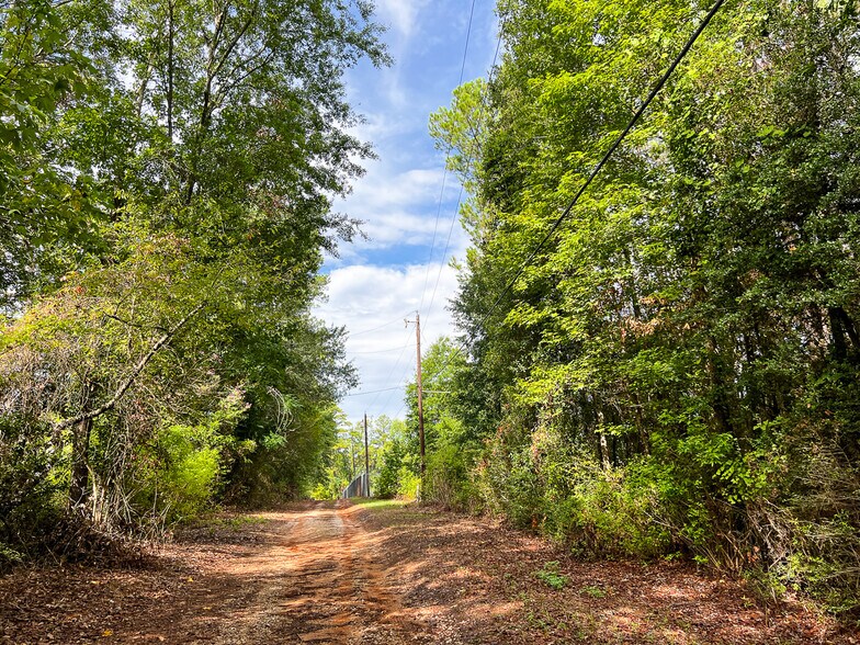 More Photos Of 7045 State Highway 75, Huntsville Land For Sale