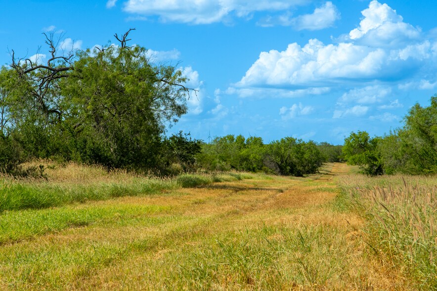 More Photos Of Las Brisas Road, Rio Grande City Land For Sale