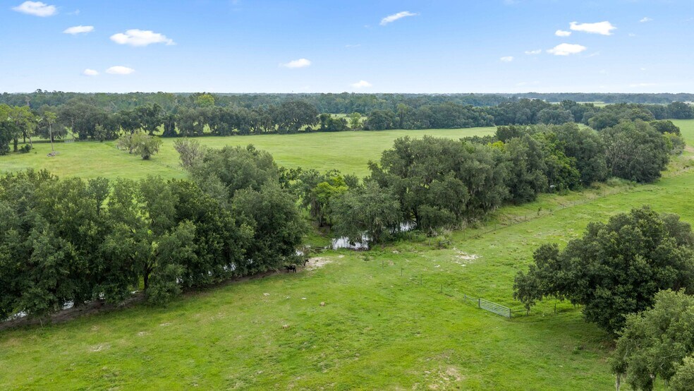 More Photos Of CR 774, Webster Land For Sale