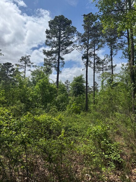 More Photos Of Mira Levee and Hwy 71, Mira Land For Sale