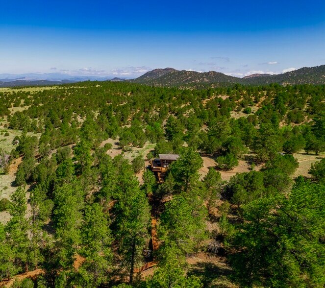 More Photos Of 525 Brush Hollow Rd, Westcliffe Land For Sale