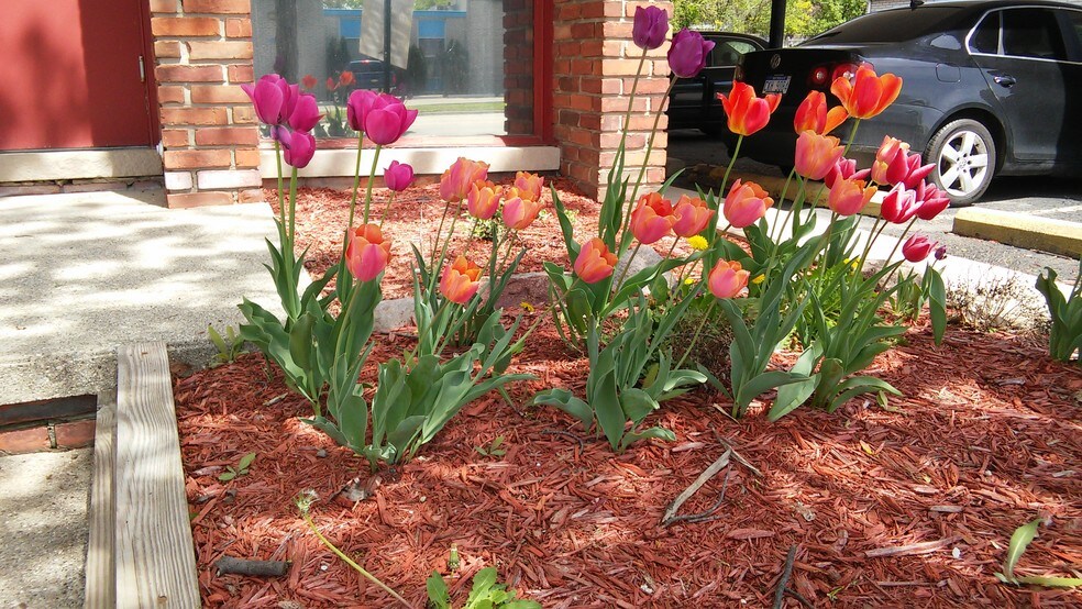 More Photos Of 17200 W 10 Mile Rd, Southfield Office For Lease