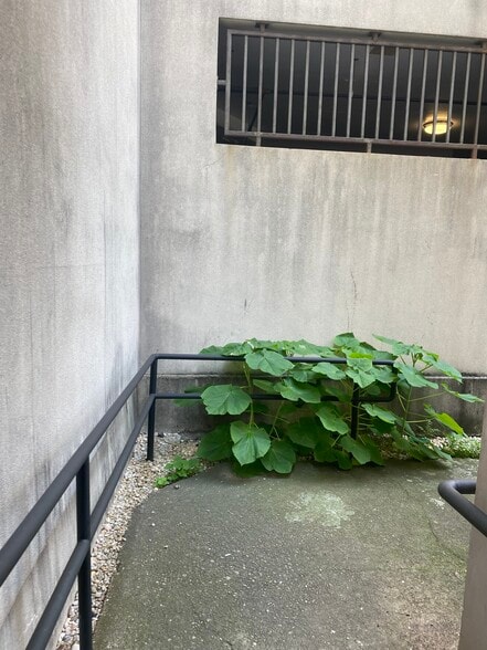 More Photos Of 10-11 49th Ave, Long Island City Storefront Retail Office For Sale