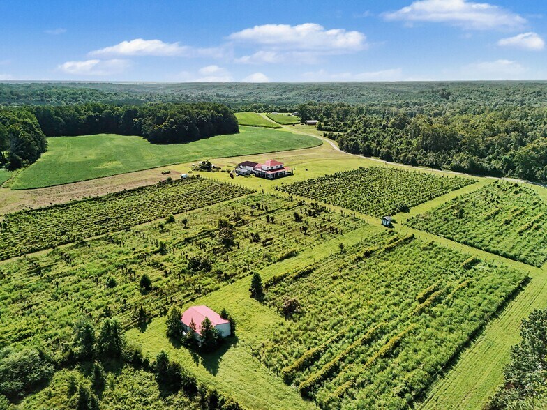 More Photos Of 495 Meadow Landing Ln, Caret Winery Vineyard For Sale