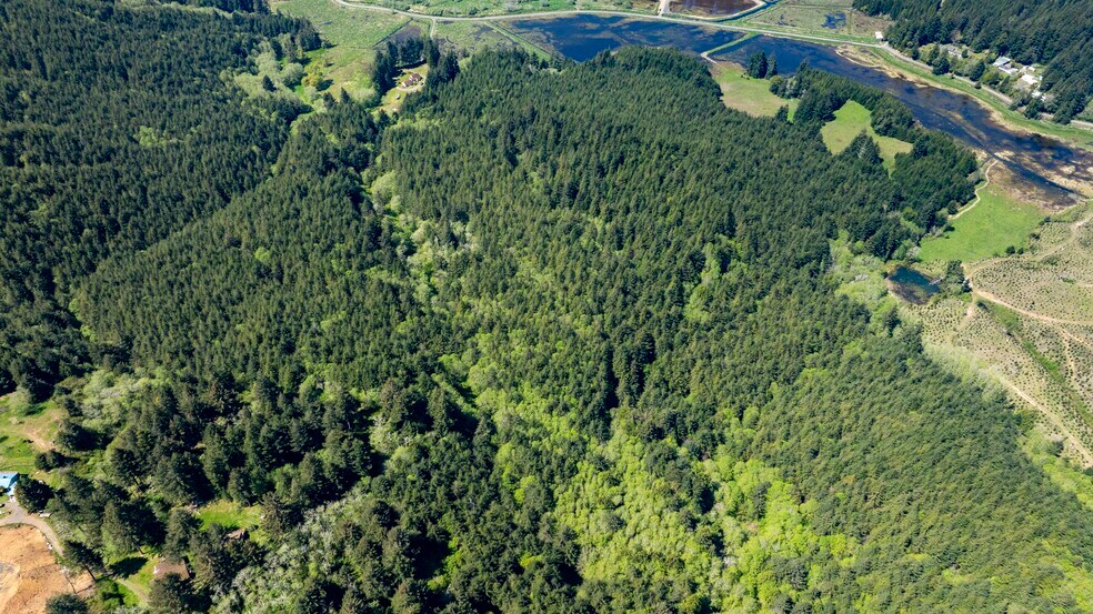 More Photos Of 94010 N Way Ln, North Bend Land For Sale
