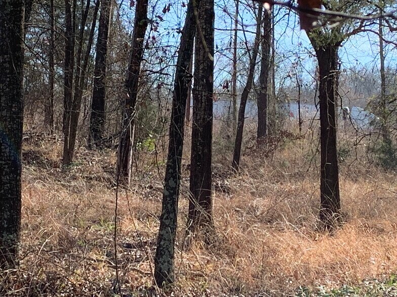 More Photos Of Interstate 20, Lindale Land For Sale