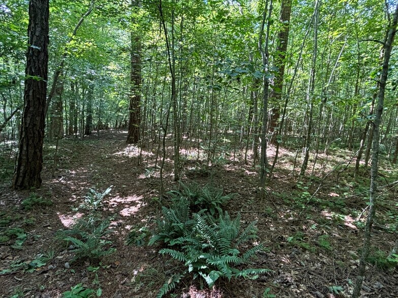 More Photos Of 1400 Happy Valley Farm Dr, Hillsborough Land For Sale