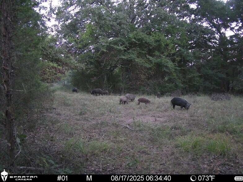 More Photos Of County Road 3311, Omaha Land For Sale