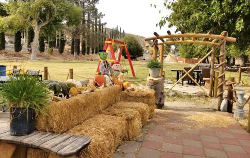 More Photos Of 7601 Soledad Canyon Rd, Acton Trailer Camper Park For Sale