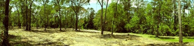 More Photos Of 28631 FM 2978 Rd, Magnolia Land For Sale