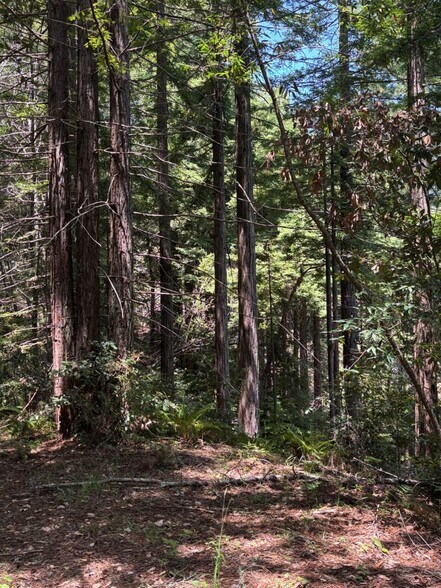 More Photos Of 21380 Siri rd, Guerneville Land For Sale