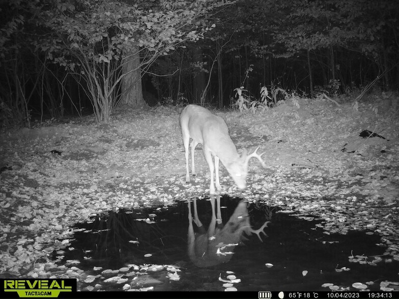 More Photos Of Fisher Road, Iola Land For Sale