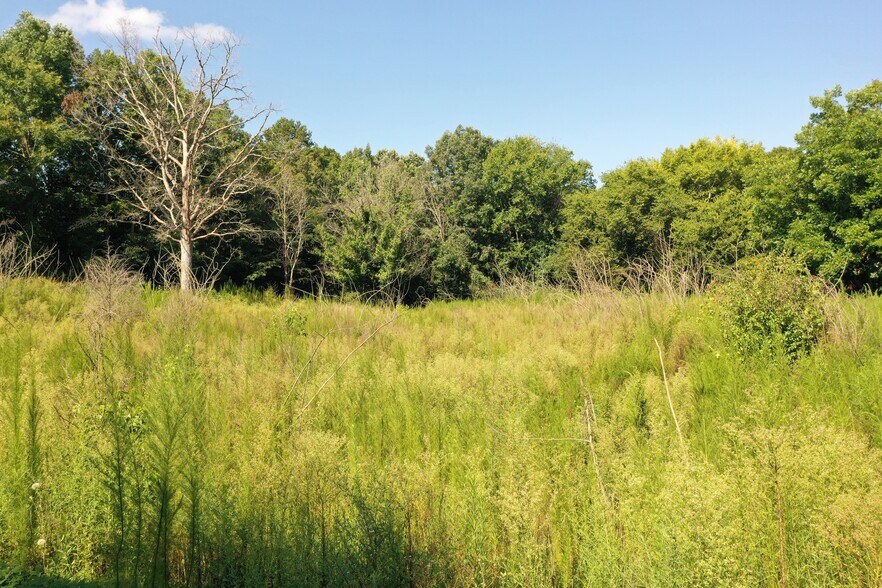 More Photos Of 00 Leonard, Albemarle Land For Sale