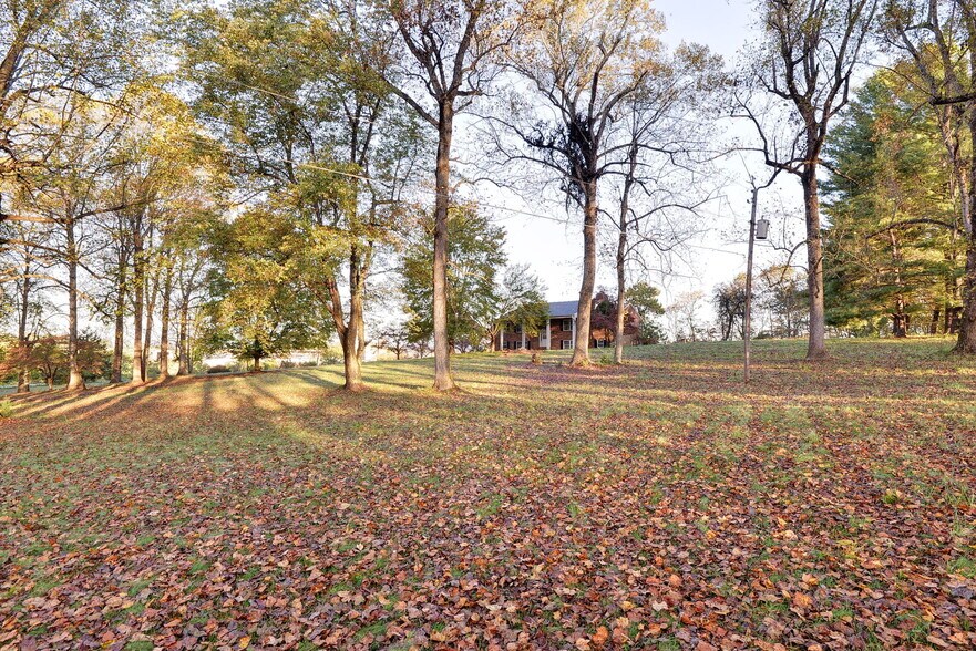 More Photos Of 16380 Forest Rd, Forest Land For Sale