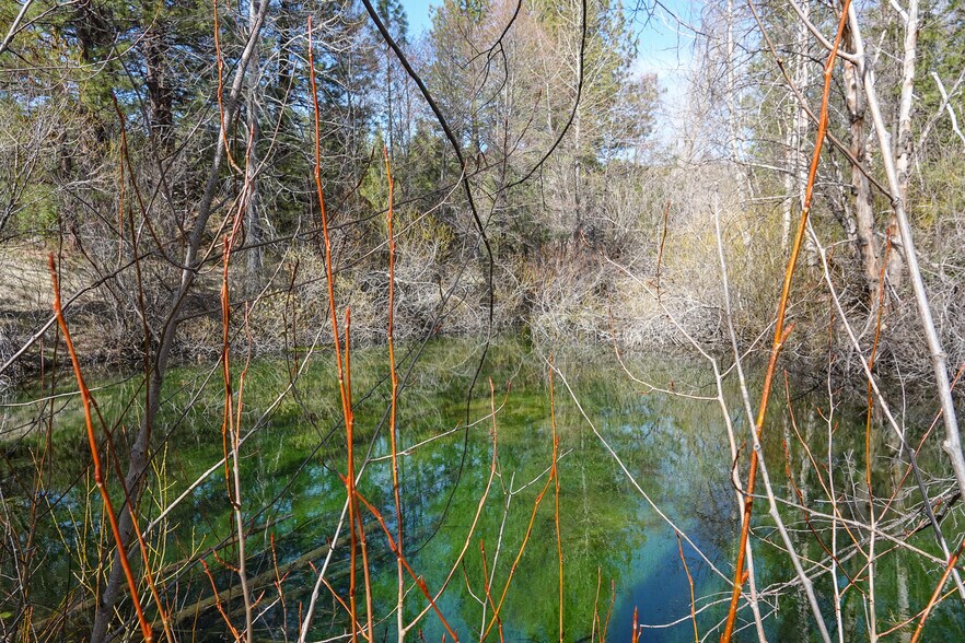 More Photos Of 6409 Kangaroo Creek Rd, Gazelle Land For Sale