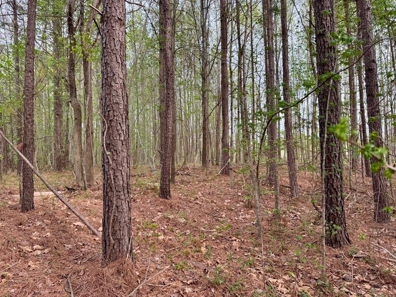 More Photos Of 12301 NC-86, Prospect Hill Land For Sale