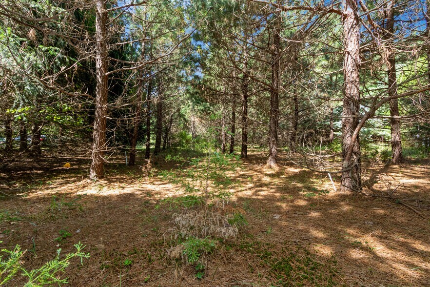 More Photos Of 3292 Tuckahoe Rd, Franklinville Land For Sale