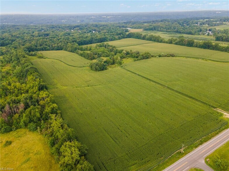 More Photos Of 3810 Center, Youngstown Land For Sale