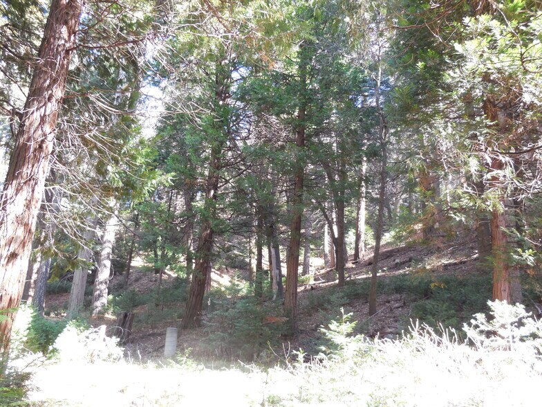 More Photos Of 26963 CA-189, Blue Jay Land For Sale