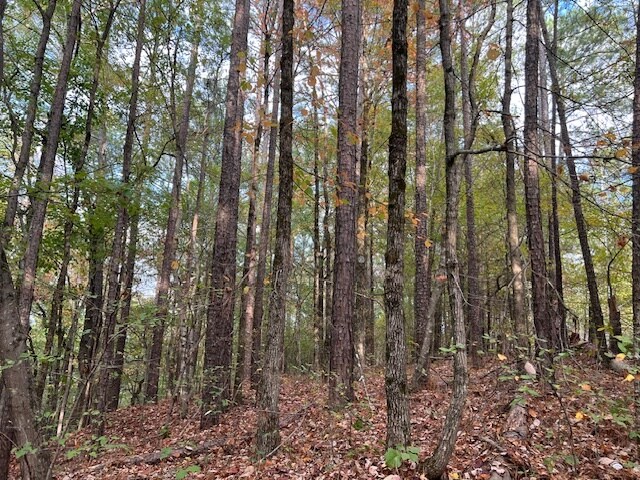 More Photos Of 100 Valley View Farm Rd SW, Cartersville Land For Sale