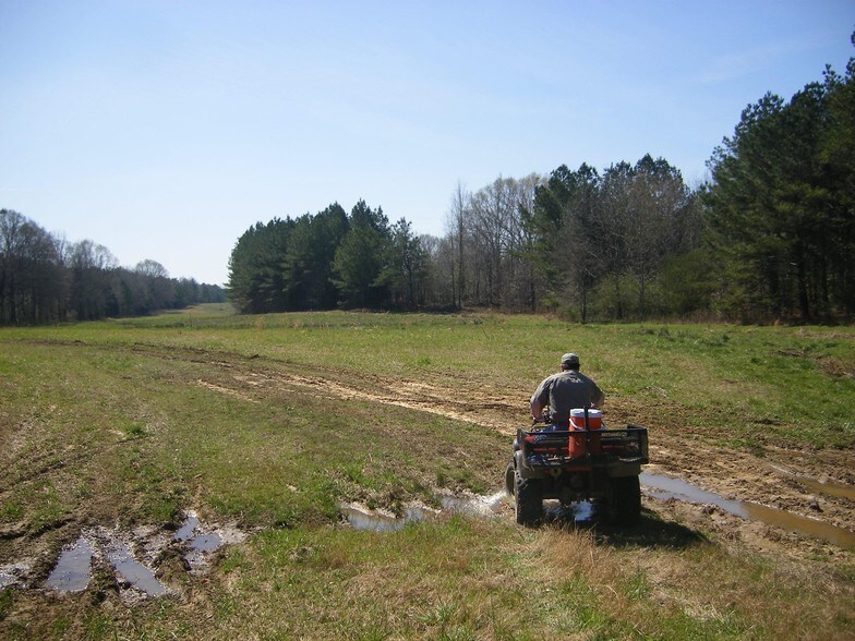 Primary Photo Of 180 Acres In Winston County Ms, Noxapater Land For Sale