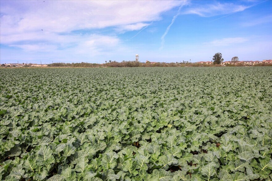 More Photos Of Flower Ave @ Highway 166, Guadalupe Land For Sale