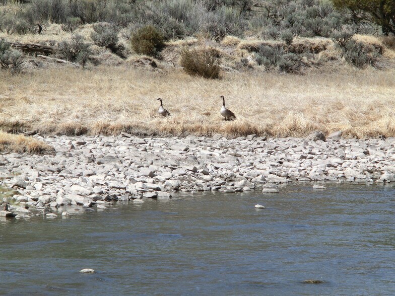 More Photos Of 791A CR, Tierra Amarilla Land For Sale