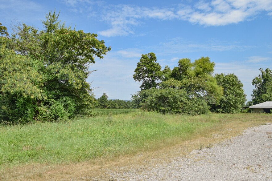 Primary Photo Of 8888 Alabama 1, Owens Cross Roads Land For Sale