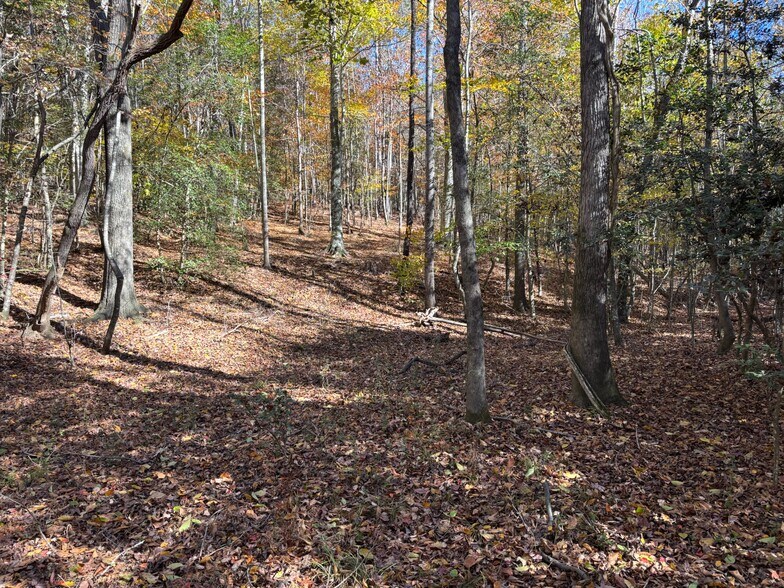 More Photos Of 169 Stone Dr, Belton Land For Sale