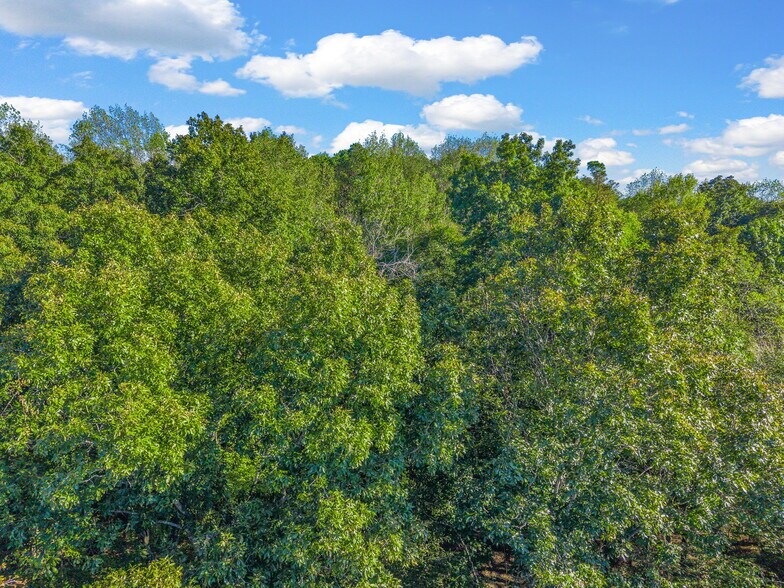 More Photos Of 0 Cox Hollow Rd, Dover Land For Sale