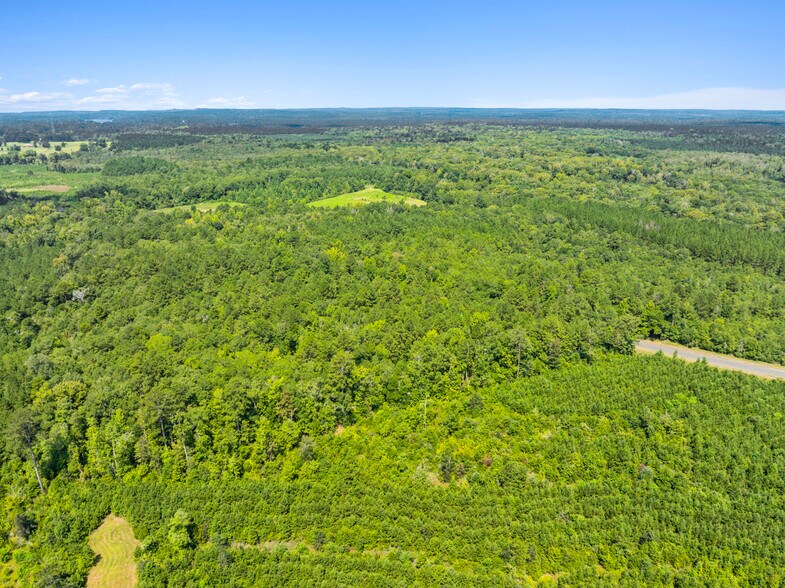 More Photos Of 7471 Highway 155, Saline Land For Sale