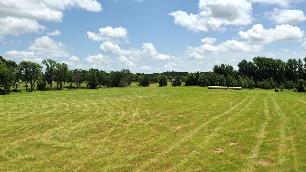 More Photos Of 13530 FM 773, Ben Wheeler Land For Sale