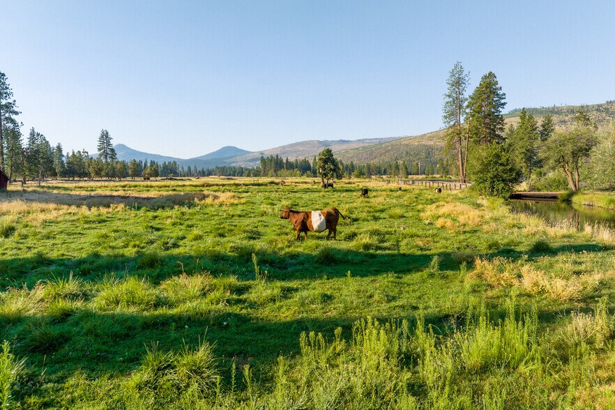 More Photos Of 41406 Lonquist Ln, Hat Creek Land For Sale