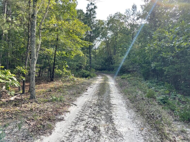 More Photos Of 229 Colbert Bridge Road, Windsor Land For Sale