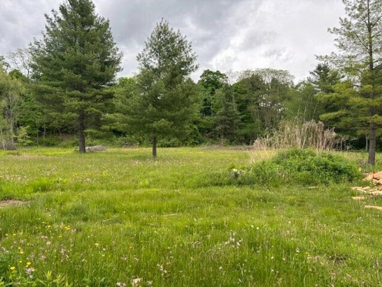 More Photos Of 342 Bantam Rd, Litchfield Land For Sale