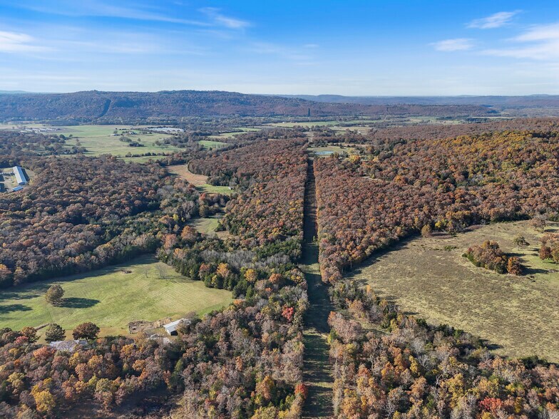 More Photos Of WC 136 Downing Rd rd, Elkins Land For Sale