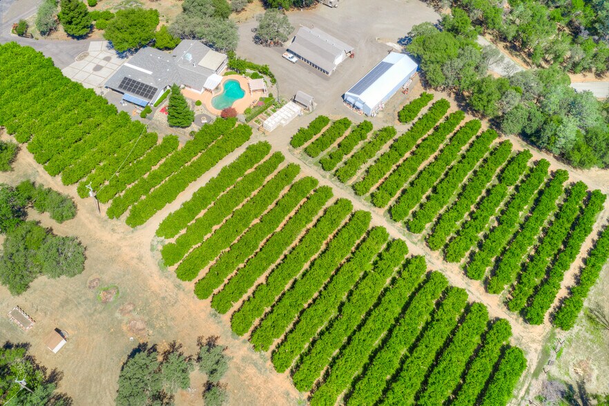 Primary Photo Of 78 Circle View Dr, Oroville Winery Vineyard For Sale
