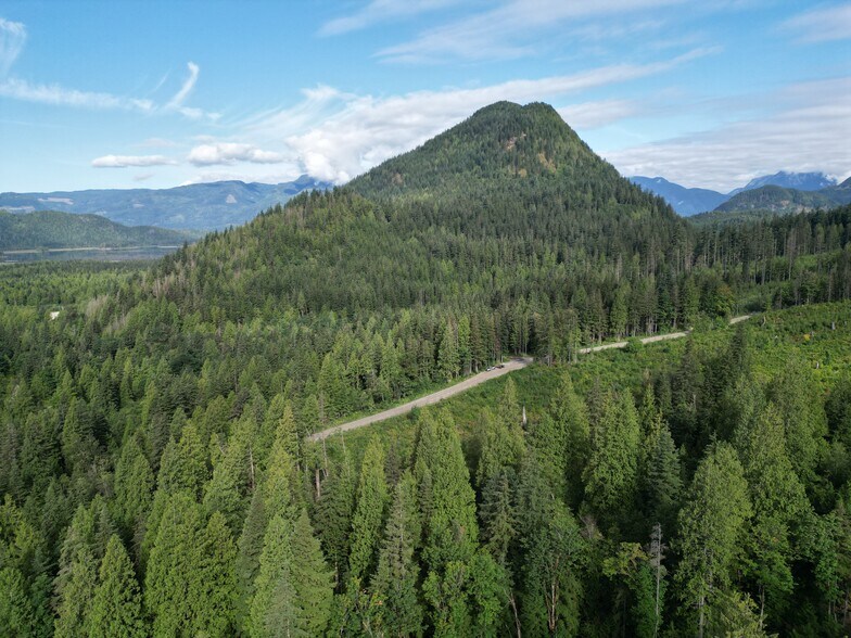 More Photos Of 241 Sylvester Rd, Mission Land For Sale