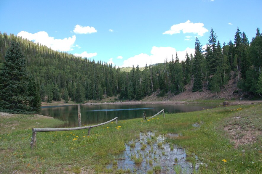 More Photos Of Lake Beaver E, Beaver Land For Sale