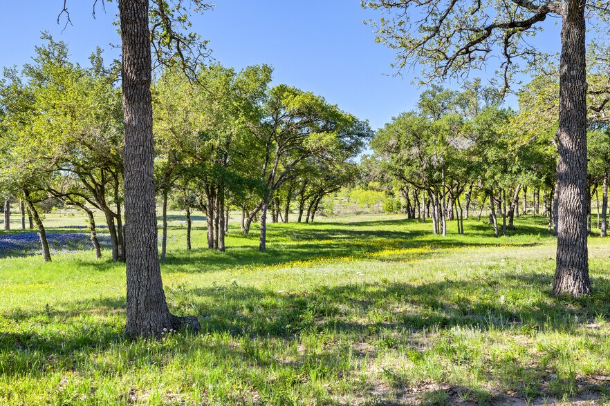 More Photos Of 13744 Us Highway 281 N, Round Mountain Flex For Sale
