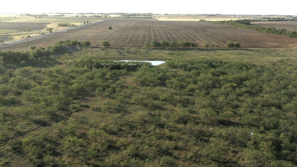 More Photos Of 250 County Road 216, Jarrell Land For Sale