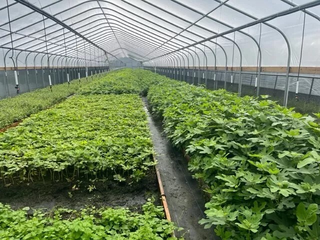 Primary Photo Of 9555 Gast Rd, Bridgman Shelter For Sale