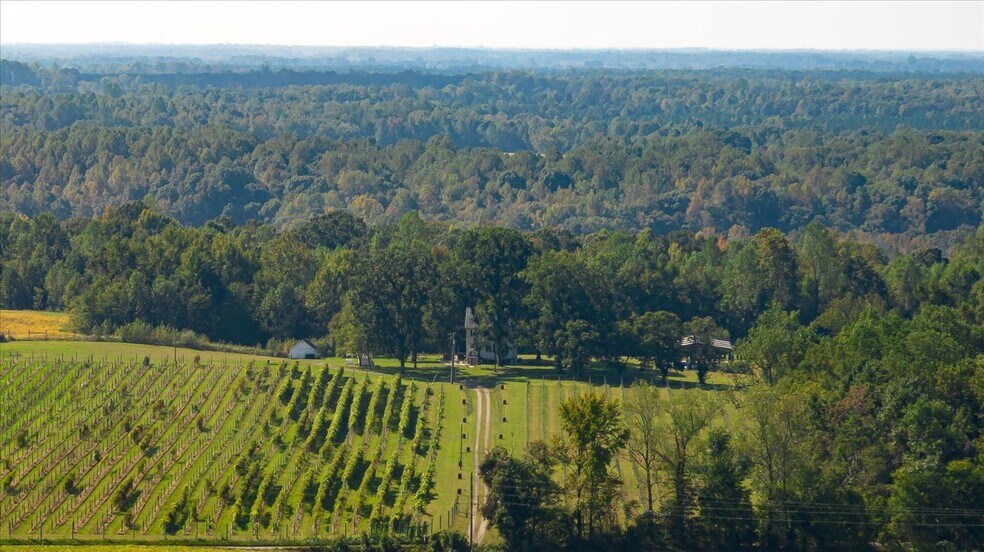 More Photos Of 667 Hustle Rd, Hustle Winery Vineyard For Sale