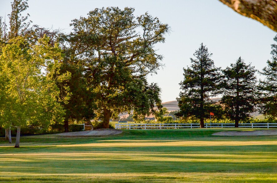 More Photos Of 1129 Dealy Ln, Napa Winery Vineyard For Sale