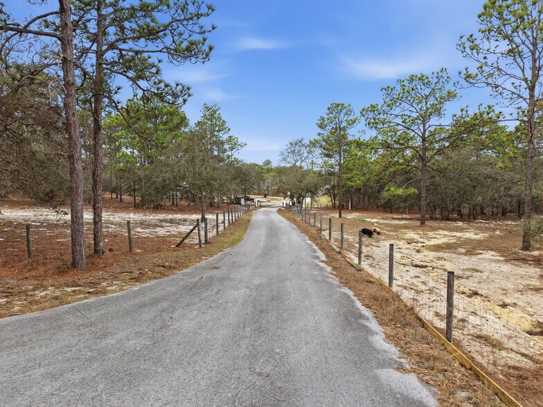 More Photos Of 12124 Squeeze Ave, Brooksville Land For Sale