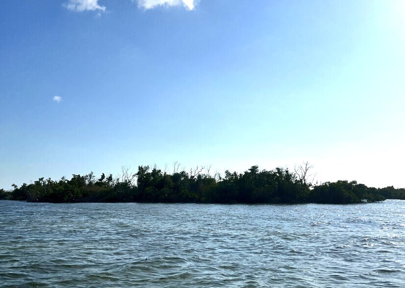 More Photos Of Indian Field Island + 4500 Island 1, Bokeelia Land For Sale